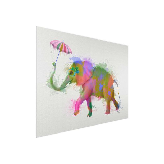 Obrazy na szkle zwierzęta Rainbow Splash Elephant