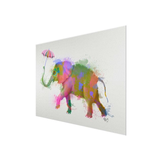 Zwierzęta obrazy Rainbow Splash Elephant