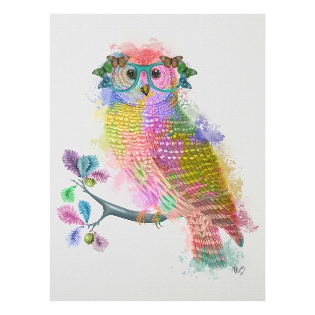 Obrazy zwierzęta Rainbow Splash Owl