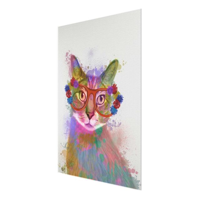 Obrazy zwierzęta Rainbow Splash Cat
