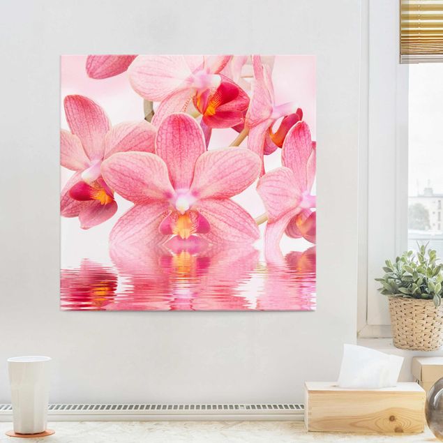 Obrazy na szkle orchidea Różowe storczyki na wodzie