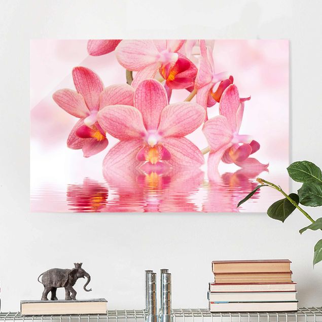 Obrazy na szkle orchidea Różowe storczyki na wodzie