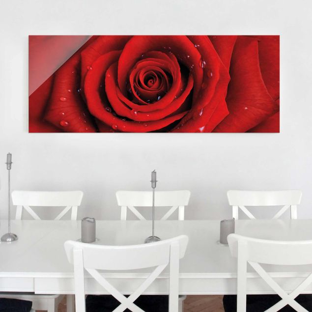 Obrazy na szkle róże Róża czerwona z kroplami wody