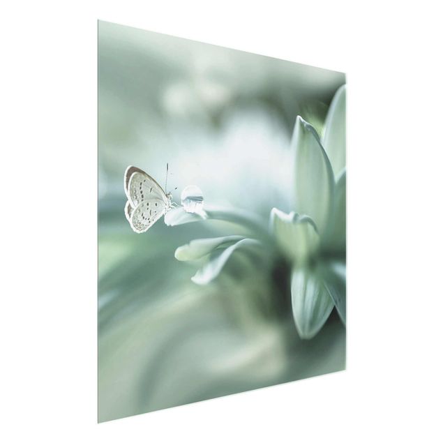 Obrazy motyl Motyl i krople rosy w pastelowej zieleni