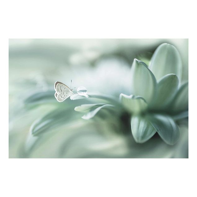 Obrazy na szkle zwierzęta Motyl i krople rosy w pastelowej zieleni