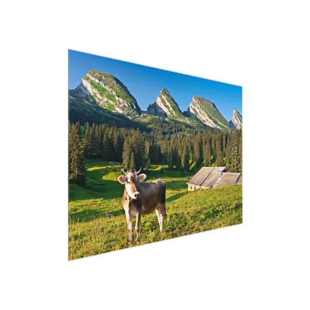 Obrazy na szkle góra Szwajcarska łąka alpejska z krową