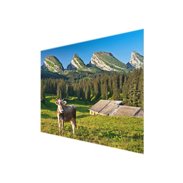 Obrazy na szkle zwierzęta Szwajcarska łąka alpejska z krową