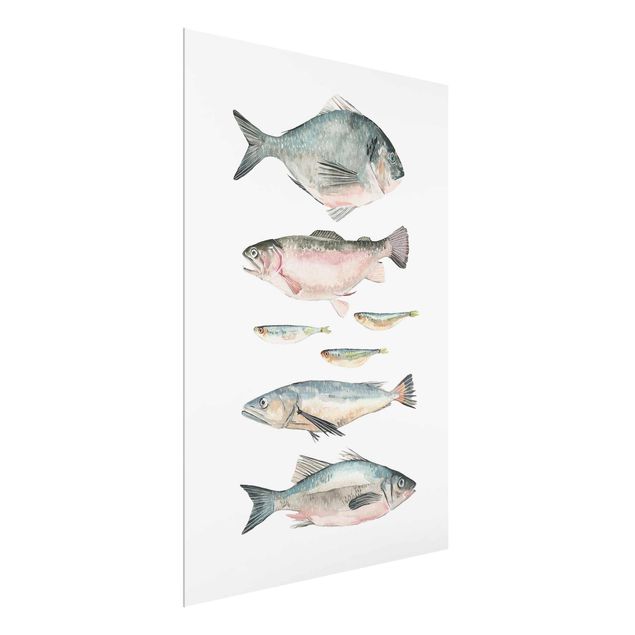 Obrazy na szkle zwierzęta Siedem rybek w akwareli II