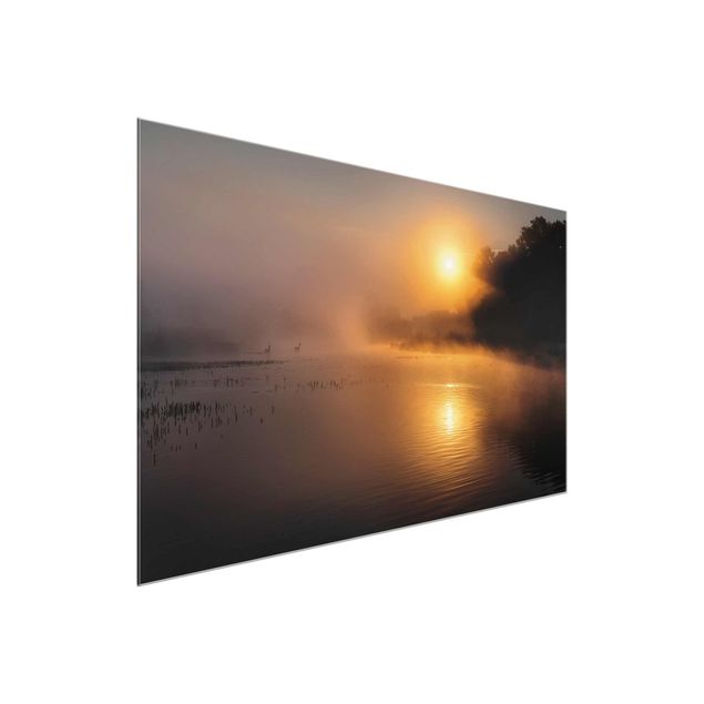 Obrazy do salonu Wschód słońca nad jeziorem z jeleniami we mgle