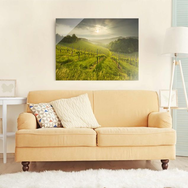 Obrazy na szkle góra Winnica Promyki Słońca