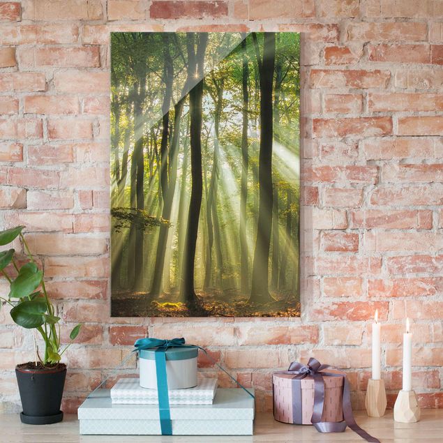 Obrazy na szkle portret Słoneczny dzień w lesie