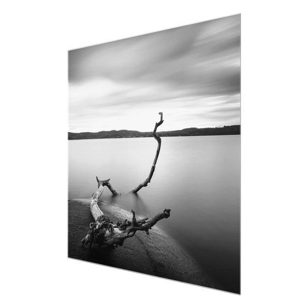 Obrazy nowoczesny Zachód słońca nad jeziorem czarno-biały