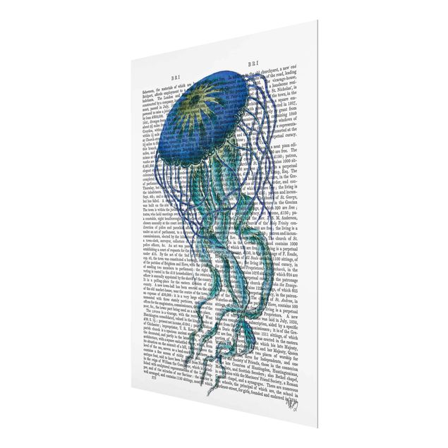 Nowoczesne obrazy Czytanie o zwierzętach - Meduza