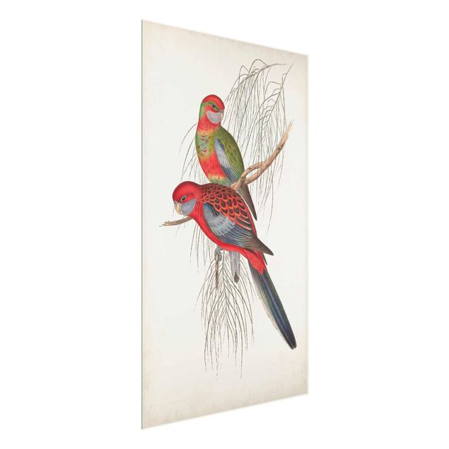 Obrazy do salonu Papugi tropikalne III