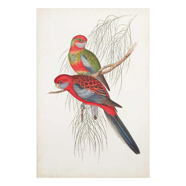 Obrazy nowoczesne Papugi tropikalne III