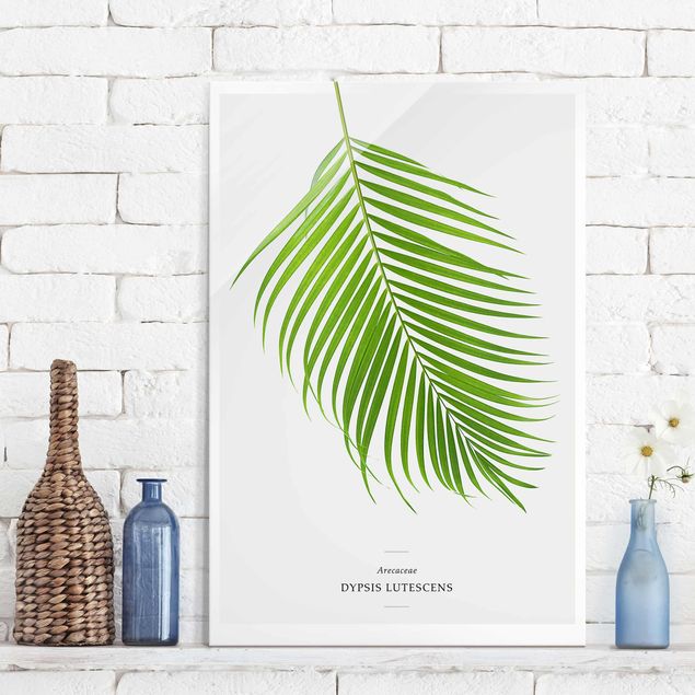 Dekoracja do kuchni Tropikalny liść palmy Areca