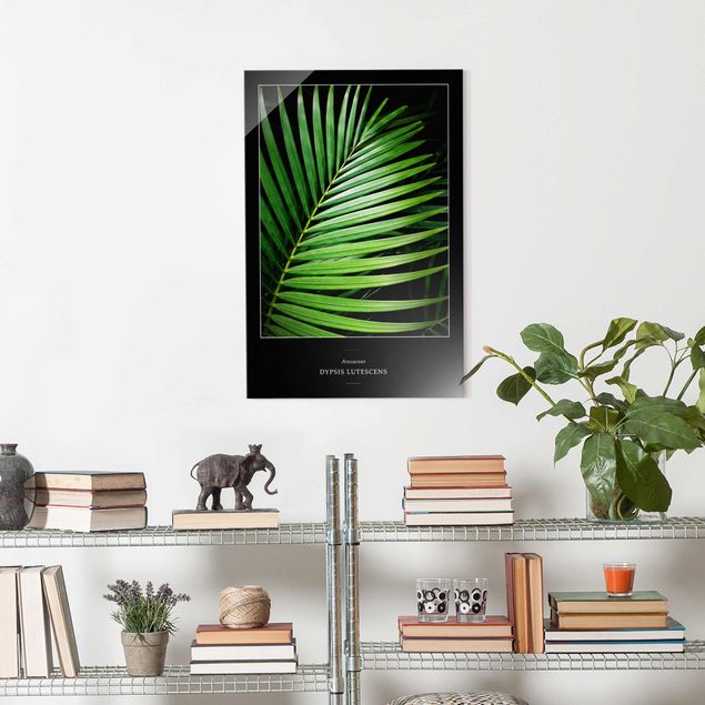 Obrazy na szkle portret Tropikalny liść palmy
