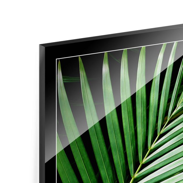 Obrazy motywy kwiatowe Tropikalny liść palmy
