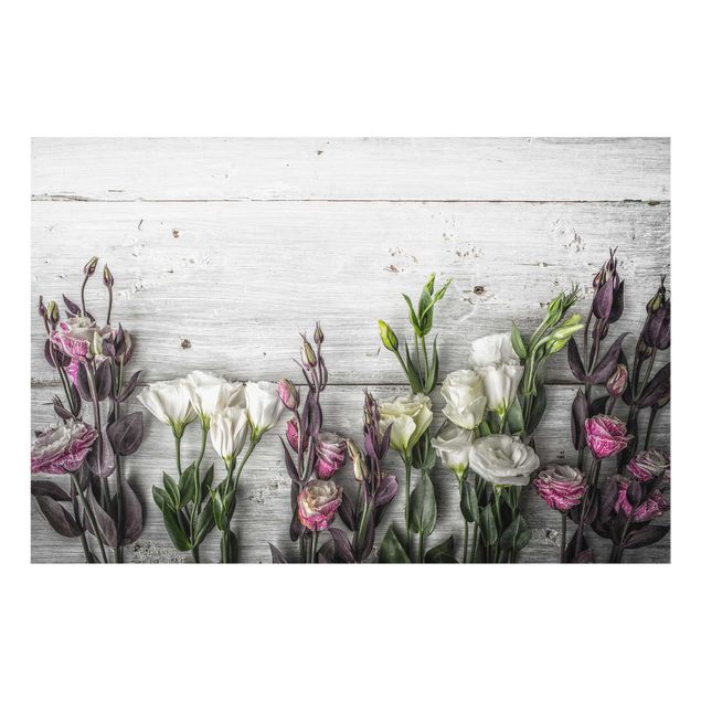 Obrazy nowoczesne Tulipanowa róża Shabby Wood Look