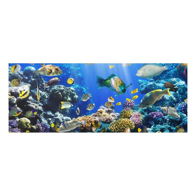 Obrazy na szkle zwierzęta Refa podwodna