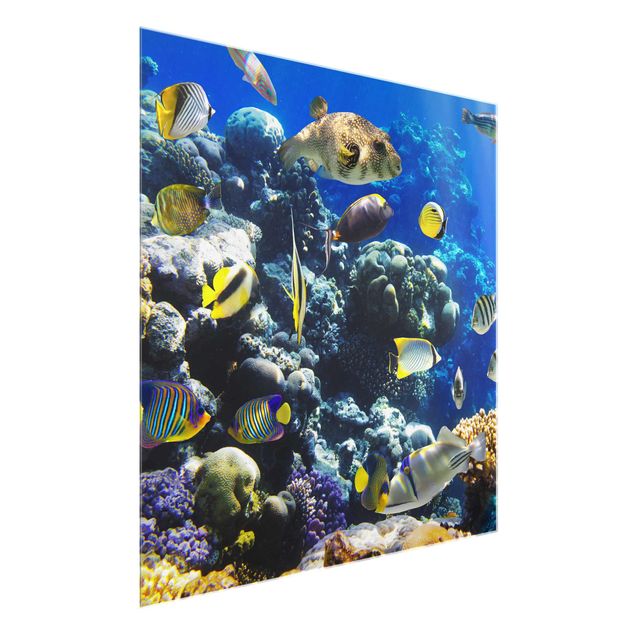Obrazy na szkle plaża Refa podwodna