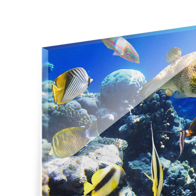 Obrazy morze Refa podwodna