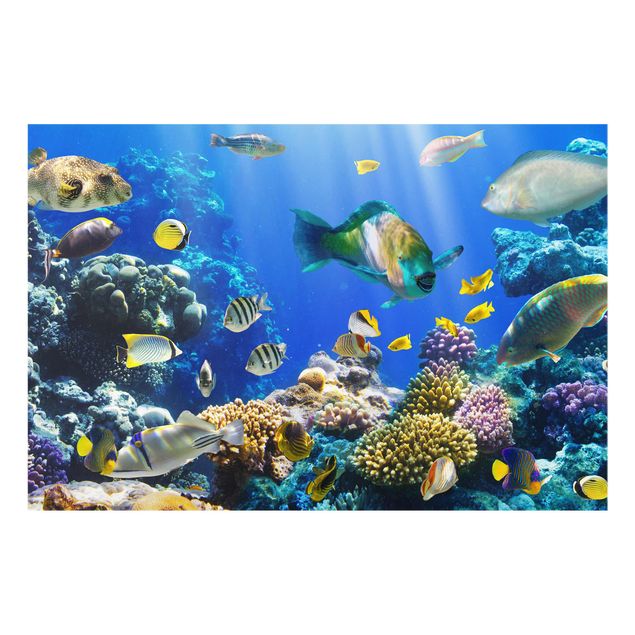 Obrazy na szkle zwierzęta Refa podwodna