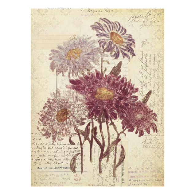 Nowoczesne obrazy Kwiaty w stylu vintage z pismem odręcznym