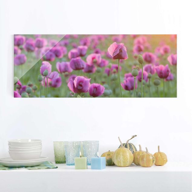 Obrazy na szkle maki Fioletowa łąka z makiem opium wiosną
