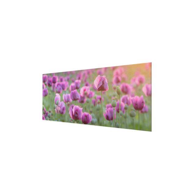 Nowoczesne obrazy Fioletowa łąka z makiem opium wiosną