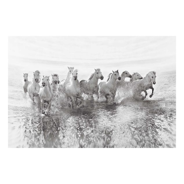 Obrazy na szkle plaża Białe konie w morzu