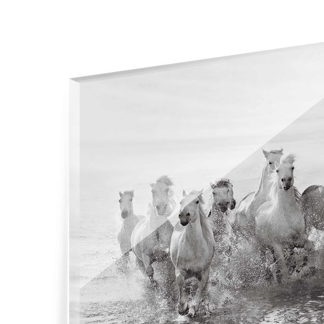 Obrazy do salonu Białe konie w morzu