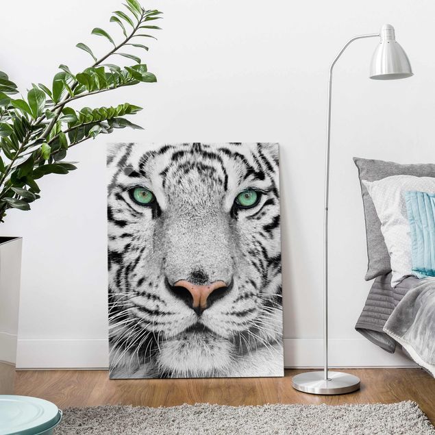 Obrazy na szkle portret Biały tygrys