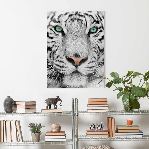 Obrazy do salonu Biały tygrys