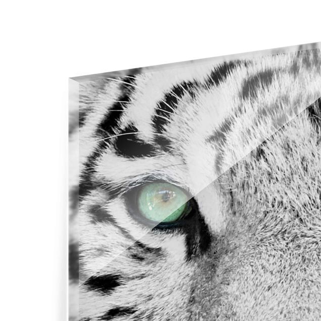 Obrazy zwierzęta Biały tygrys