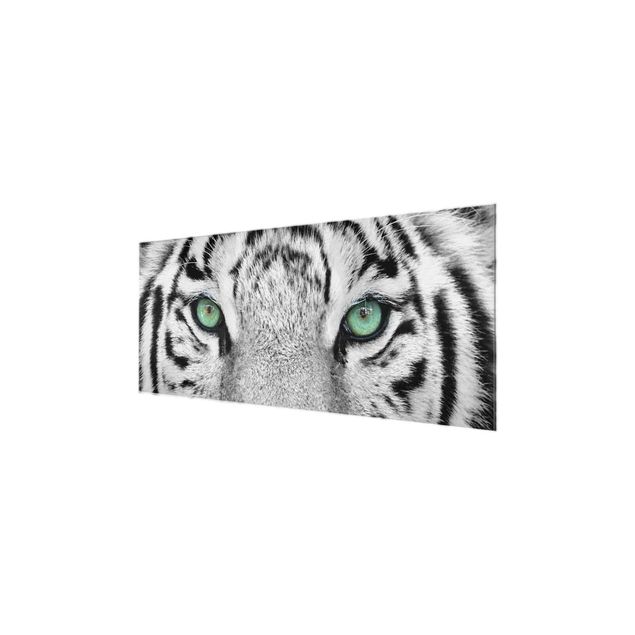 Obrazy nowoczesne Biały tygrys