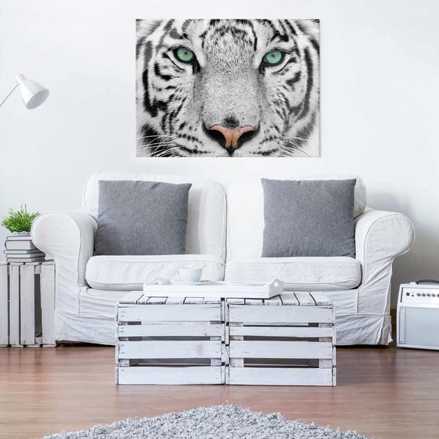 Obrazy na szkle poziomy Biały tygrys