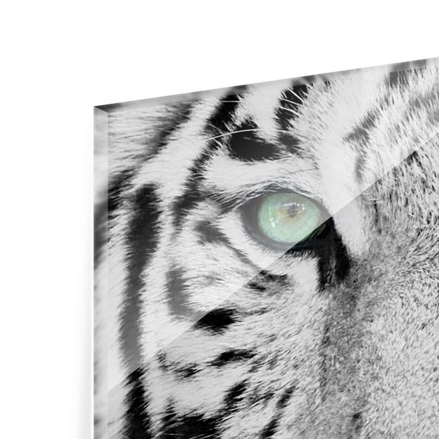 Czarno białe obrazy Biały tygrys