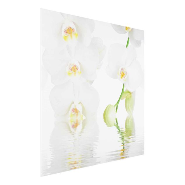 Obrazy na szkle kwadrat Orchidea wellness
