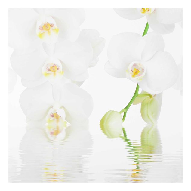 Nowoczesne obrazy do salonu Orchidea wellness