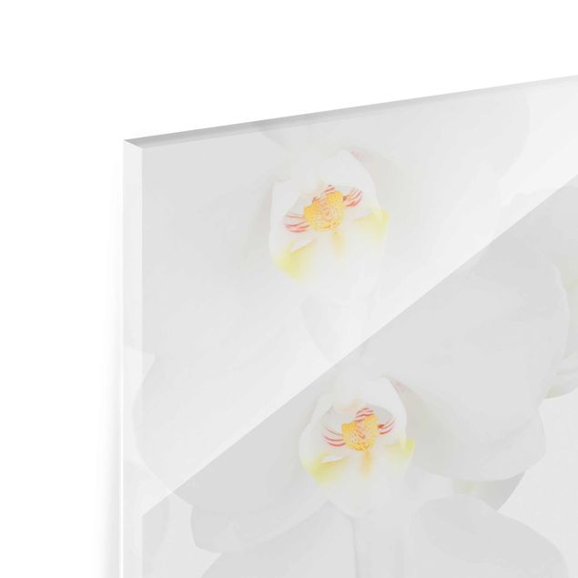 Obrazy Orchidea wellness