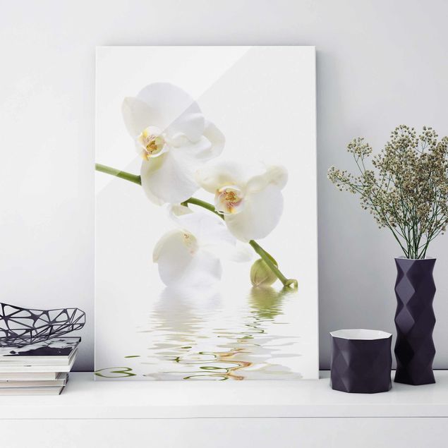 Obrazy orchidea Wody białej orchidei