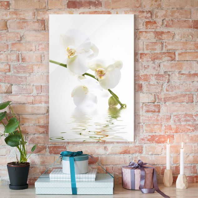 Obraz storczyk na szkle Wody białej orchidei