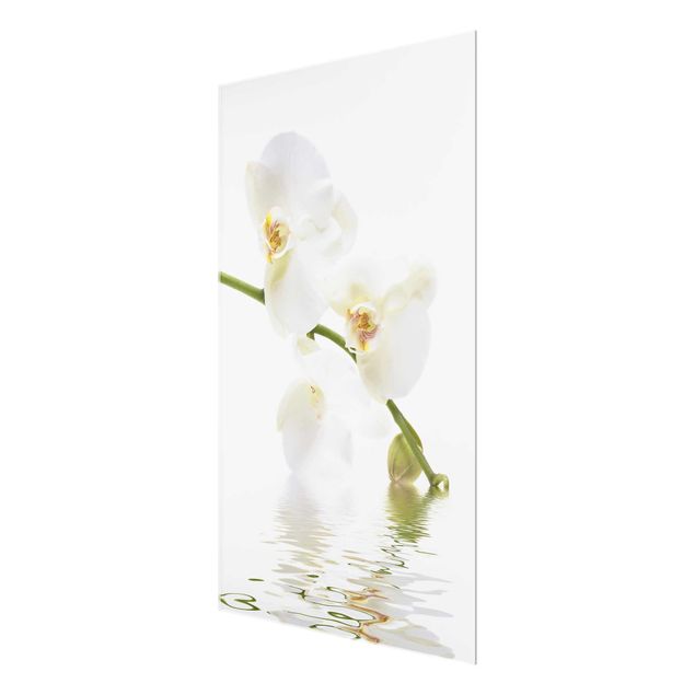 Obrazy nowoczesne Wody białej orchidei