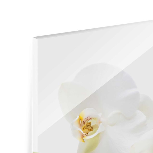 Obrazy na ścianę Wody białej orchidei