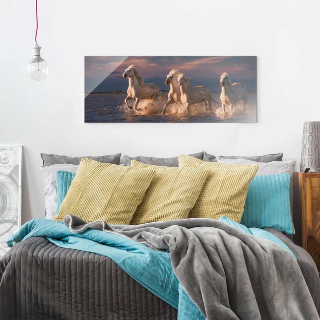 Obrazy na szkle panorama Dzikie konie w Camargue