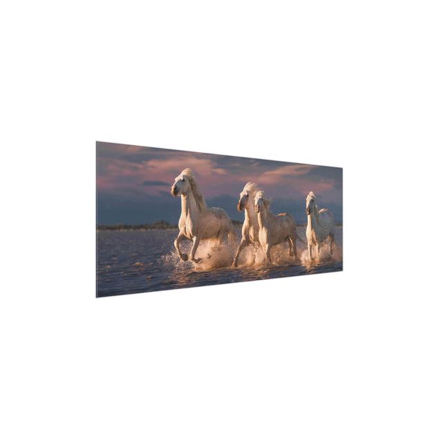 Obrazy na szkle zwierzęta Dzikie konie w Camargue