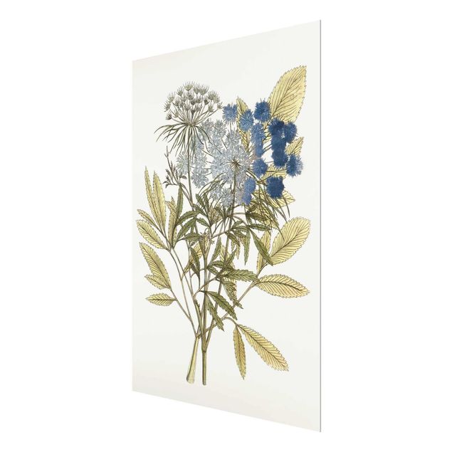 Obrazy motywy kwiatowe Dzikie zioła tablica I