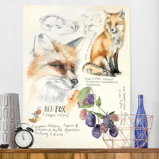 Obrazy na szkle portret Dziennik Dzikiej Przyrody - Fox