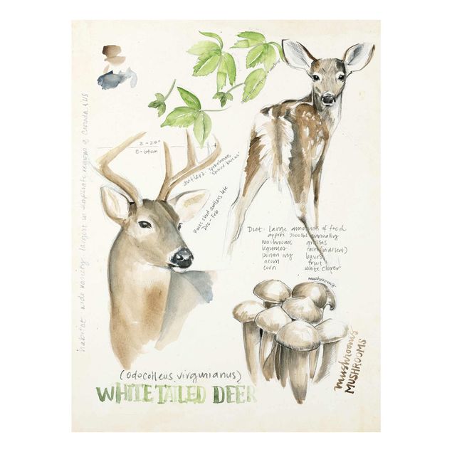 Obraz z jeleniem Dziennik Dzikiej Przyrody - Jeleń